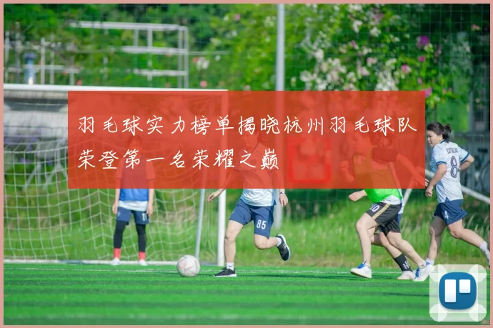 羽毛球实力榜单揭晓杭州羽毛球队荣登第一名荣耀之巅