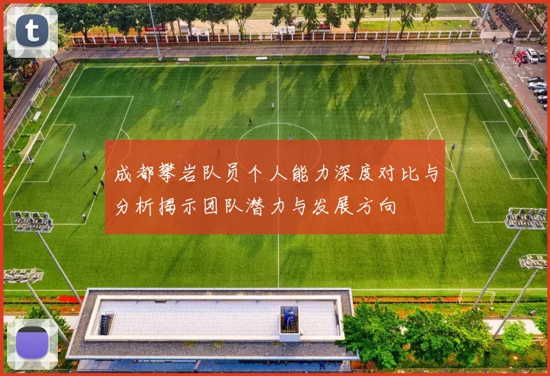 成都攀岩队员个人能力深度对比与分析揭示团队潜力与发展方向